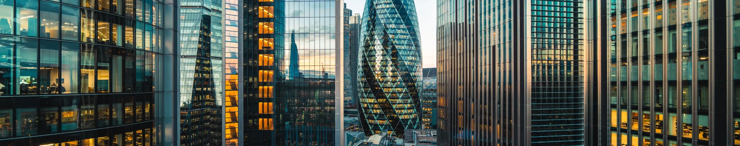 Investment and Capital Markets